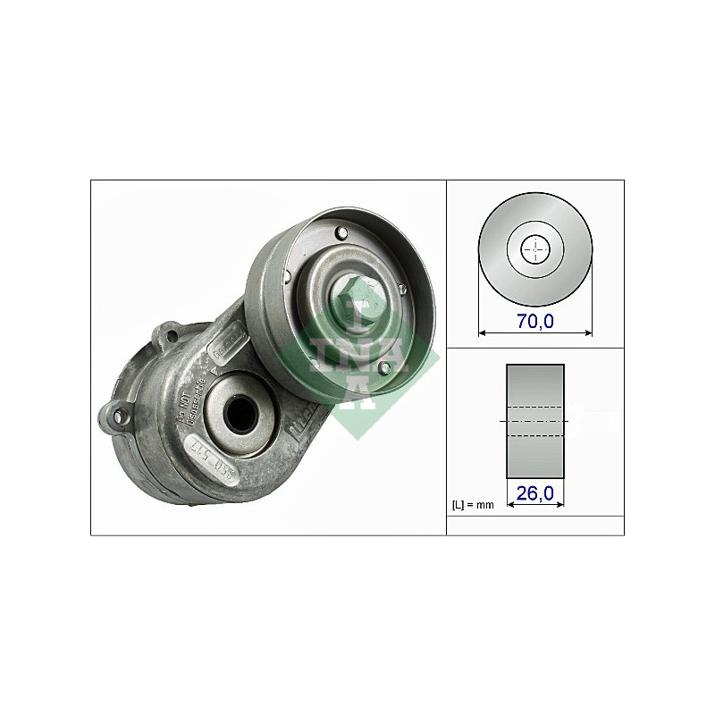 Tendicinghia trapezoidale - INA