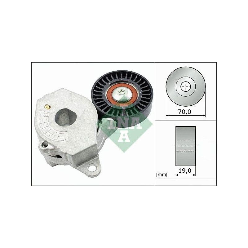 Tendicinghia trapezoidale - INA