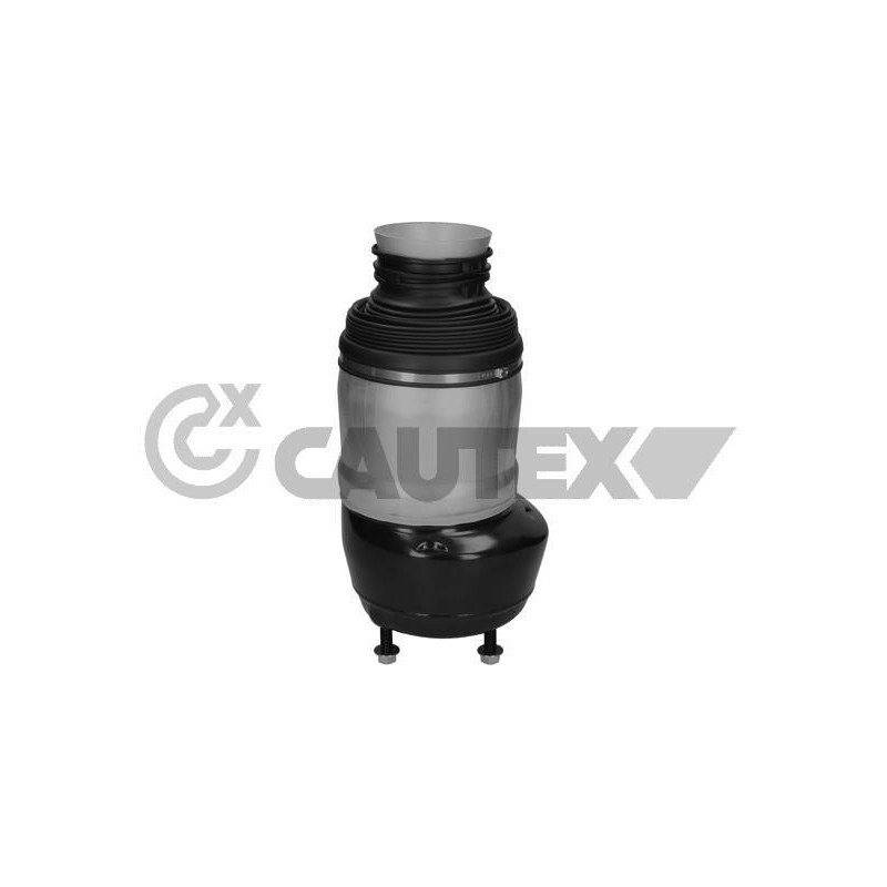 Ammortizzatore asse anteriore - CAUTEX GOMMA E PARTI MOTORE
