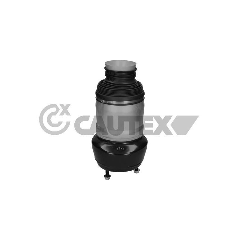 Ammortizzatore asse anteriore - CAUTEX GOMMA E PARTI MOTORE