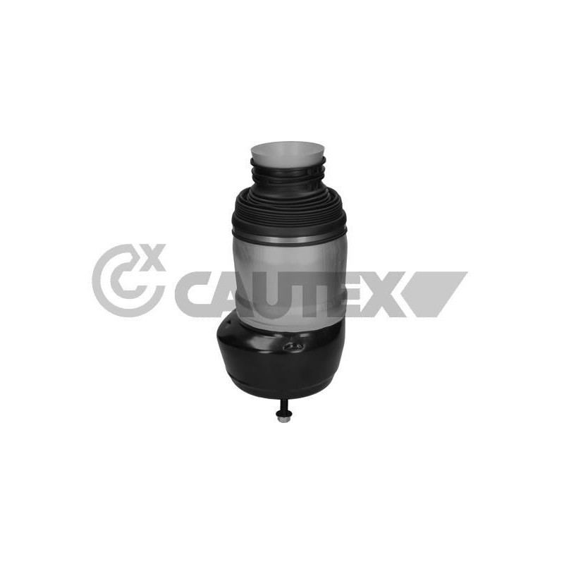 Ammortizzatore asse anteriore - CAUTEX GOMMA E PARTI MOTORE