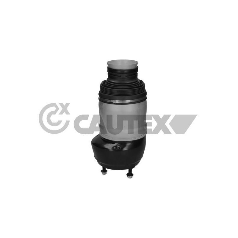 Ammortizzatore asse anteriore - CAUTEX GOMMA E PARTI MOTORE