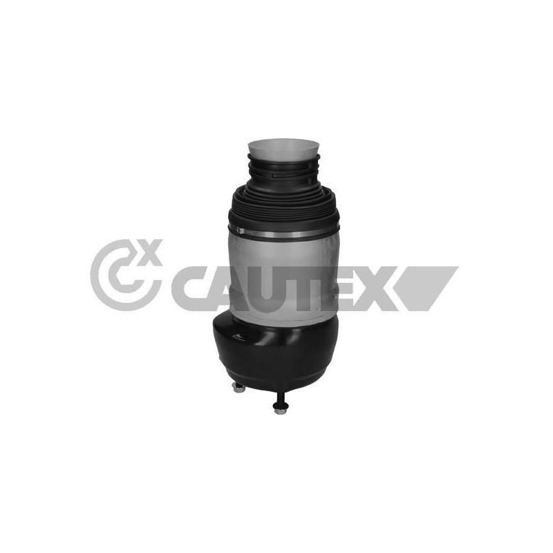 Ammortizzatore asse anteriore - CAUTEX GOMMA E PARTI MOTORE