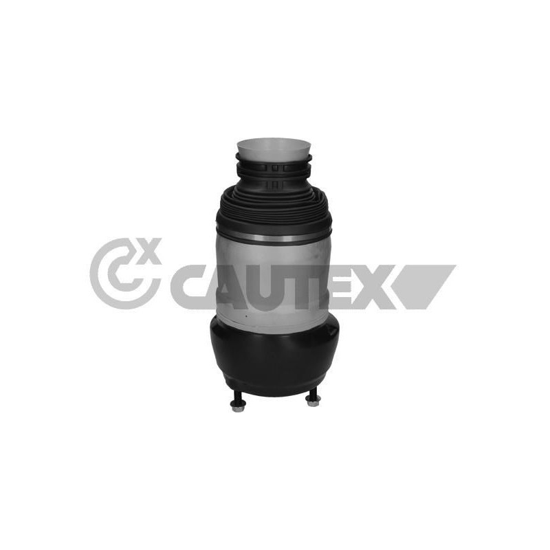 Ammortizzatore asse anteriore - CAUTEX GOMMA E PARTI MOTORE