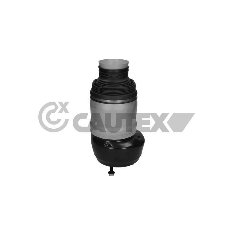 Ammortizzatore asse anteriore - CAUTEX GOMMA E PARTI MOTORE