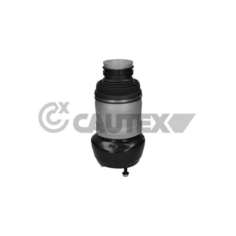 Ammortizzatore asse anteriore - CAUTEX GOMMA E PARTI MOTORE