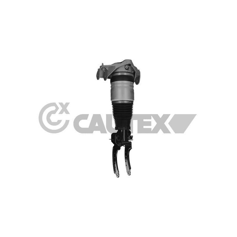 Ammortizzatore asse anteriore - CAUTEX GOMMA E PARTI MOTORE