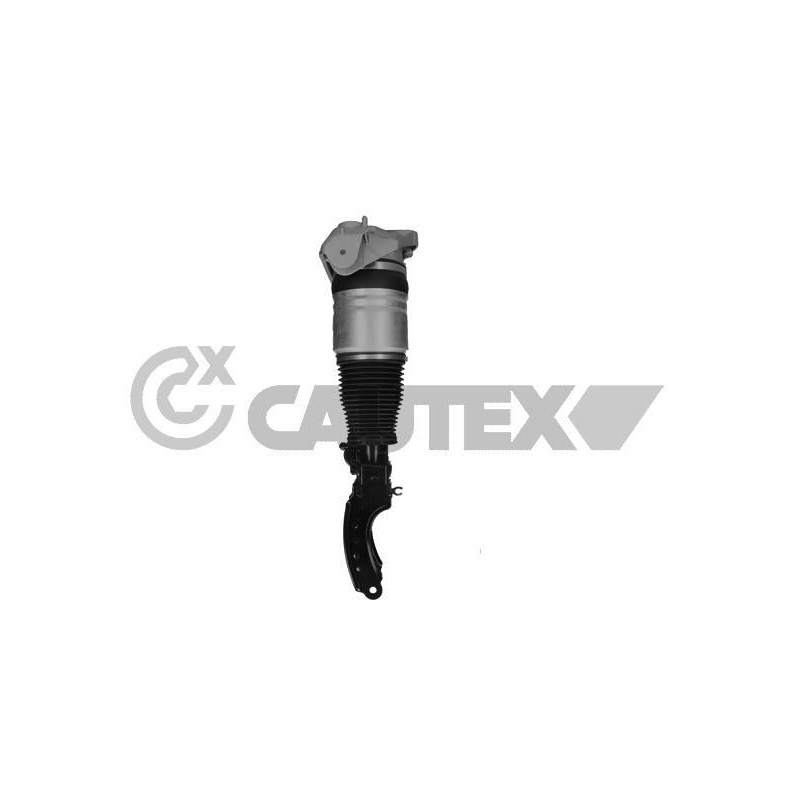 Ammortizzatore asse anteriore - CAUTEX GOMMA E PARTI MOTORE