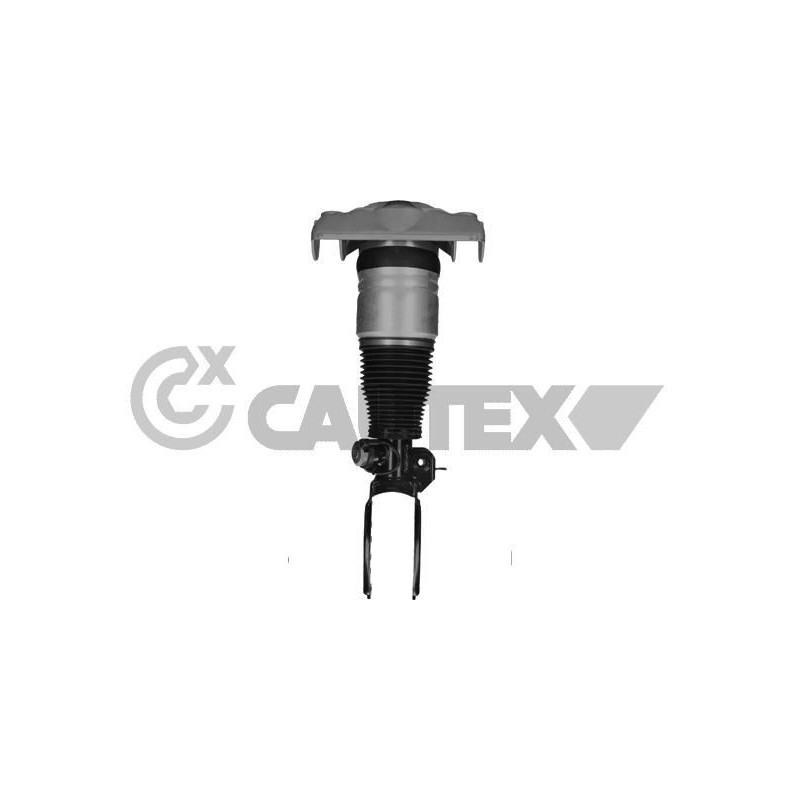 Ammortizzatore asse anteriore - CAUTEX GOMMA E PARTI MOTORE