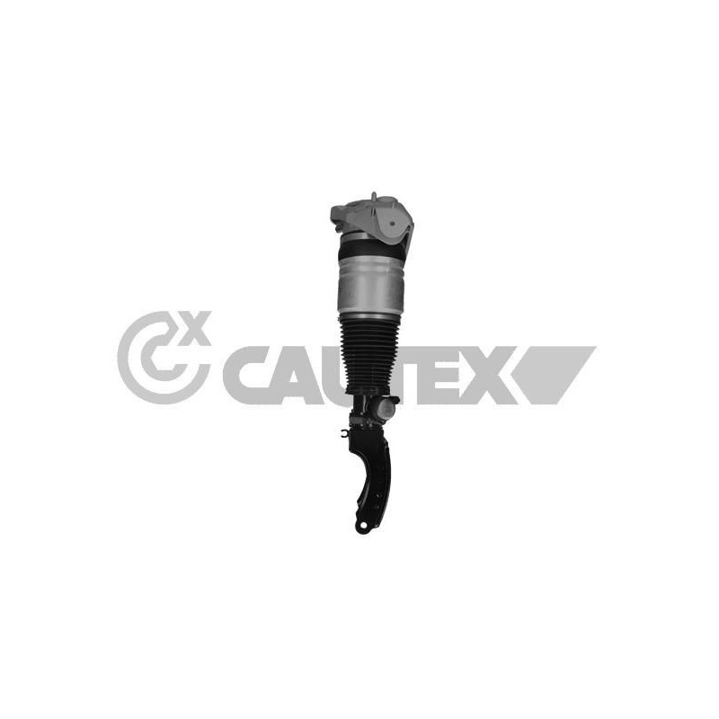 Ammortizzatore asse anteriore - CAUTEX GOMMA E PARTI MOTORE