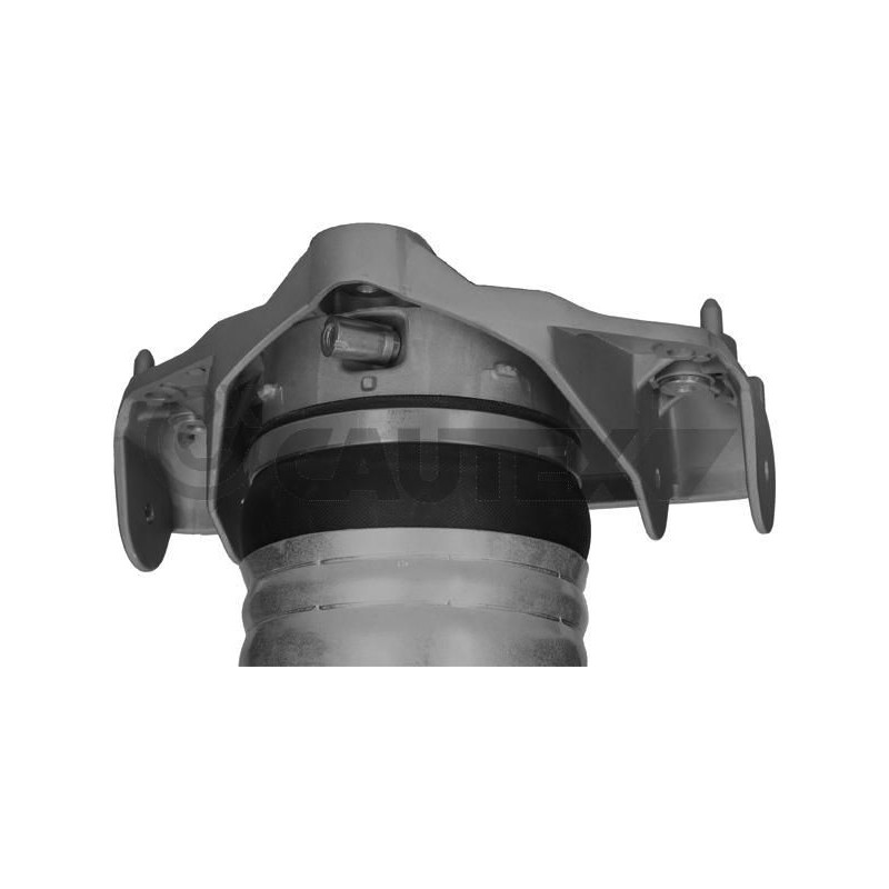 Ammortizzatore asse anteriore - CAUTEX GOMMA E PARTI MOTORE