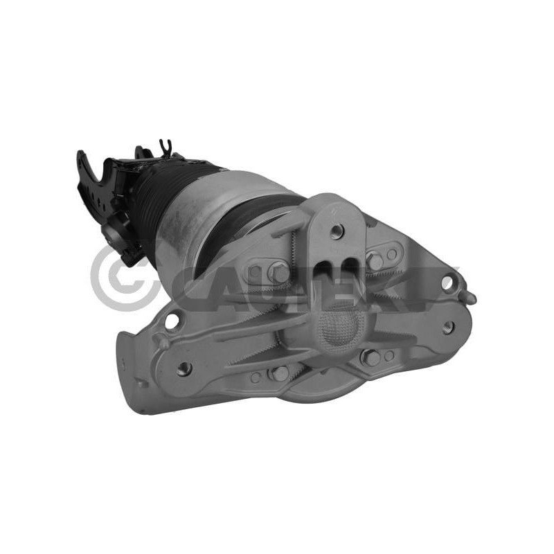 Ammortizzatore asse anteriore - CAUTEX GOMMA E PARTI MOTORE