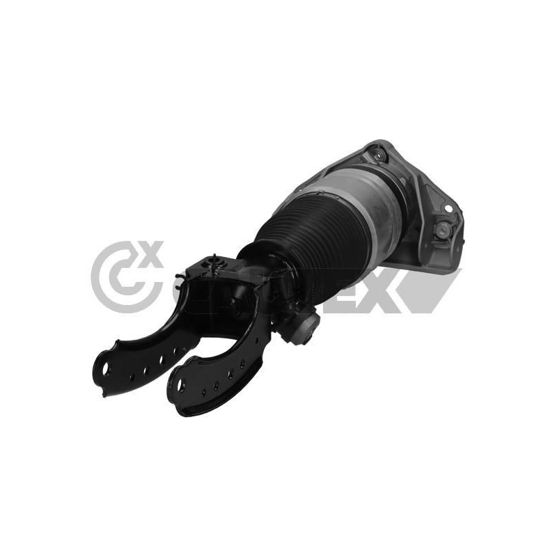 Ammortizzatore asse anteriore - CAUTEX GOMMA E PARTI MOTORE