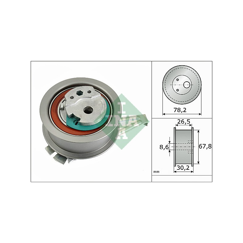 Tendicinghia distribuzione - INA