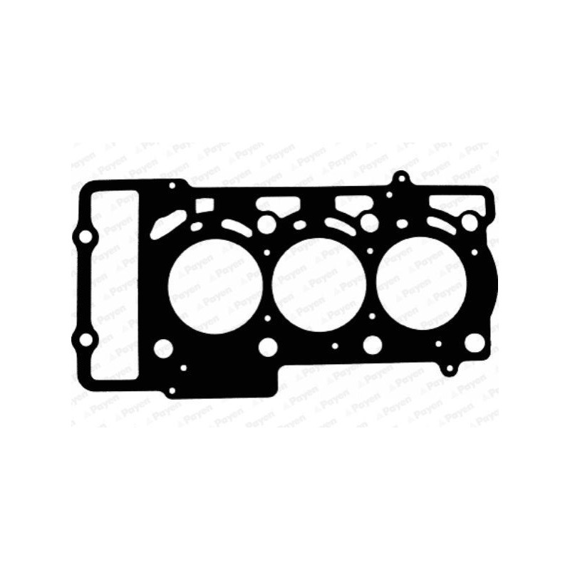 Guarnizione testata - PAYEN