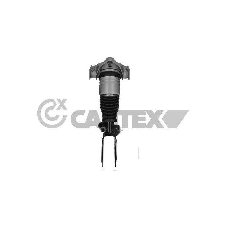 Ammortizzatore asse anteriore - CAUTEX GOMMA E PARTI MOTORE