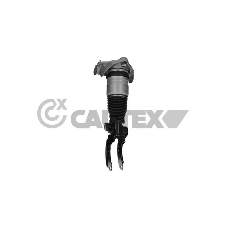 Ammortizzatore asse anteriore - CAUTEX GOMMA E PARTI MOTORE