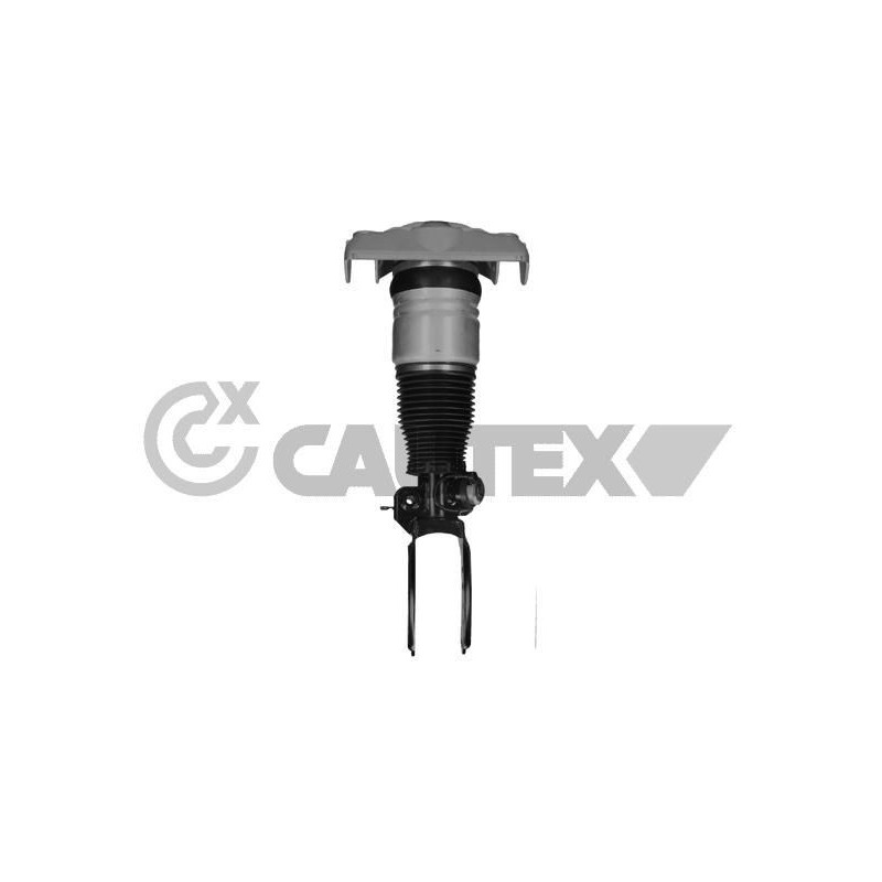 Ammortizzatore asse anteriore - CAUTEX GOMMA E PARTI MOTORE