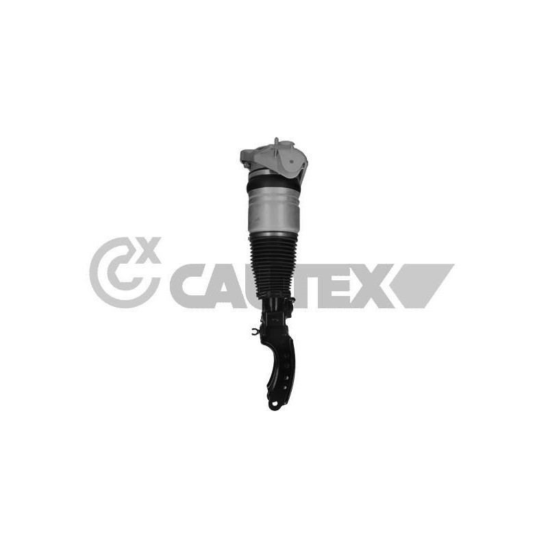 Ammortizzatore asse anteriore - CAUTEX GOMMA E PARTI MOTORE