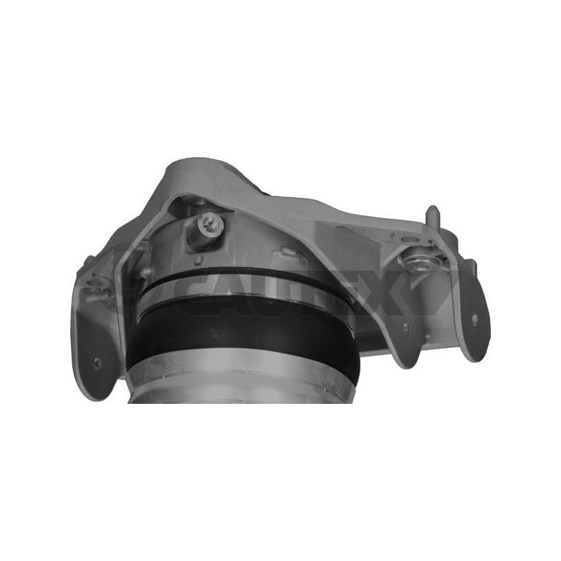 Ammortizzatore asse anteriore - CAUTEX GOMMA E PARTI MOTORE