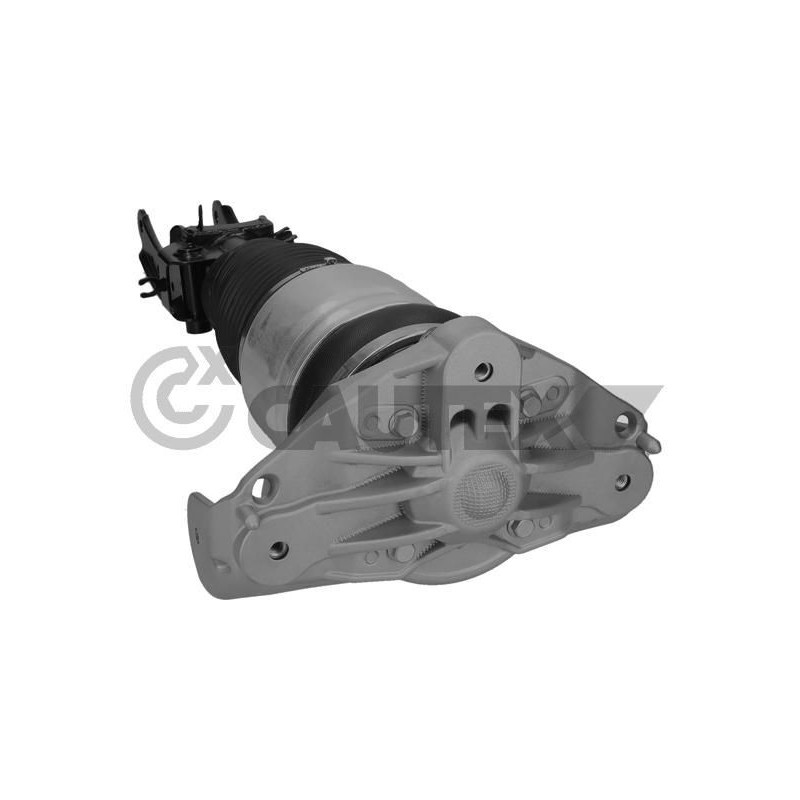 Ammortizzatore asse anteriore - CAUTEX GOMMA E PARTI MOTORE