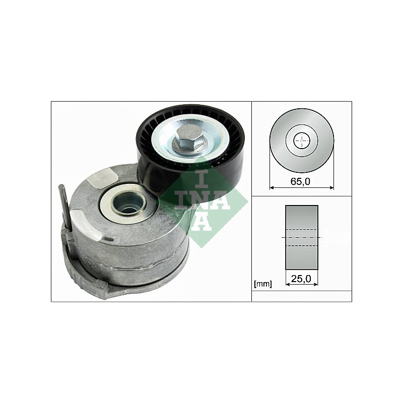 Tendicinghia trapezoidale - INA