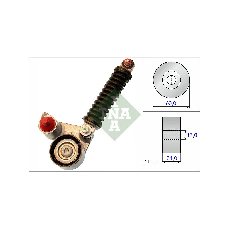 Tendicinghia trapezoidale - INA