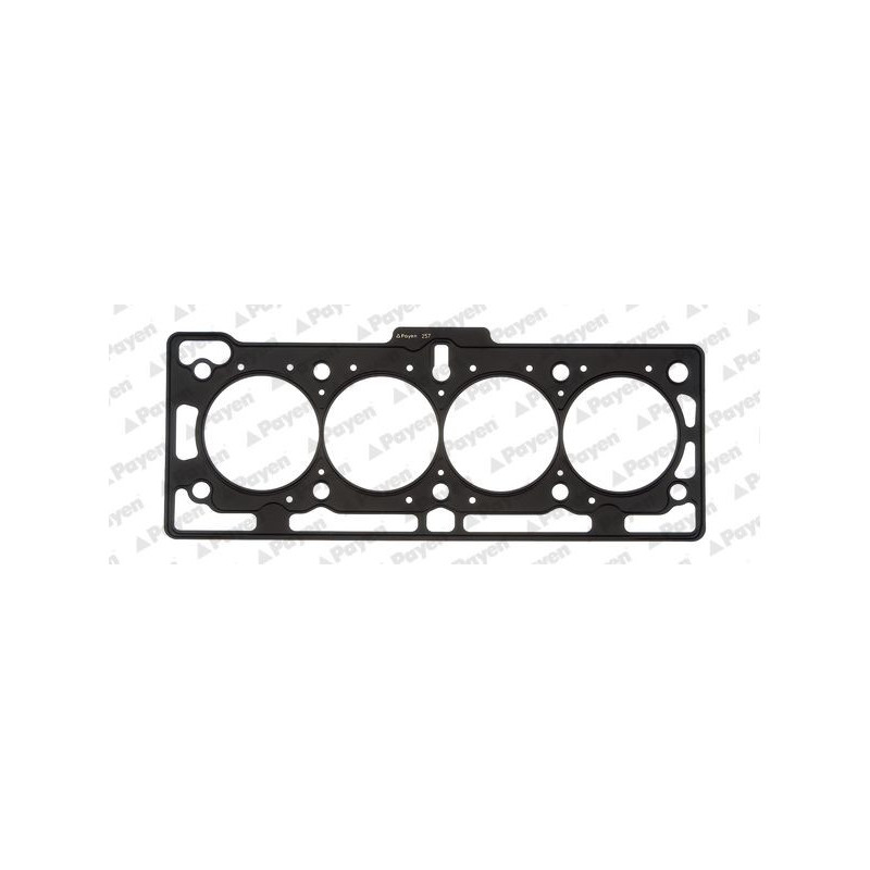 Guarnizione testata - PAYEN