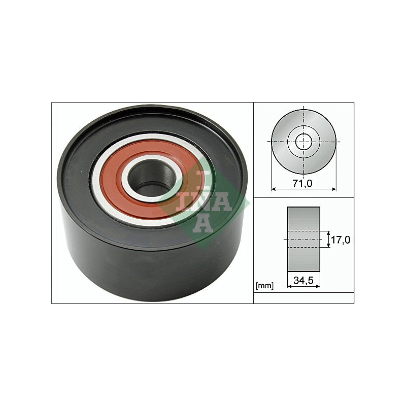 Tendicinghia trapezoidale - INA