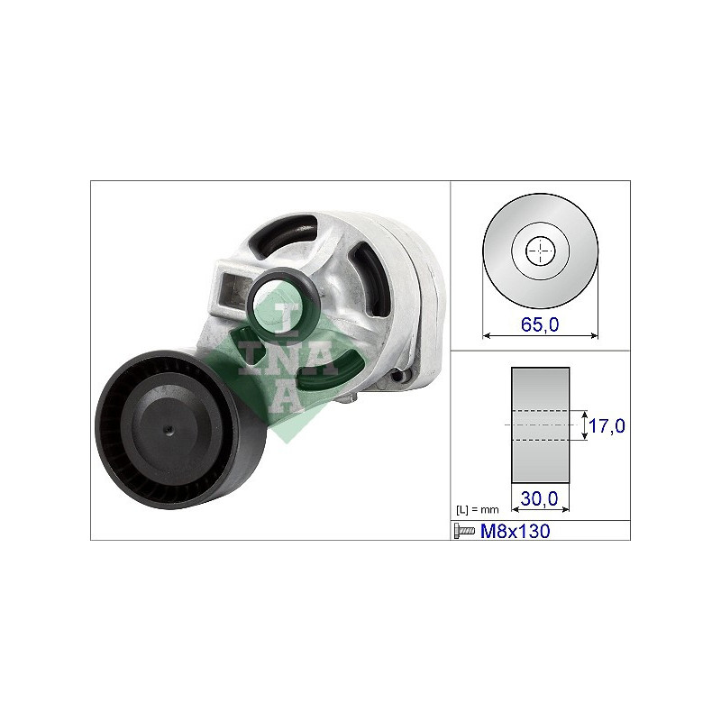 Tendicinghia trapezoidale - INA