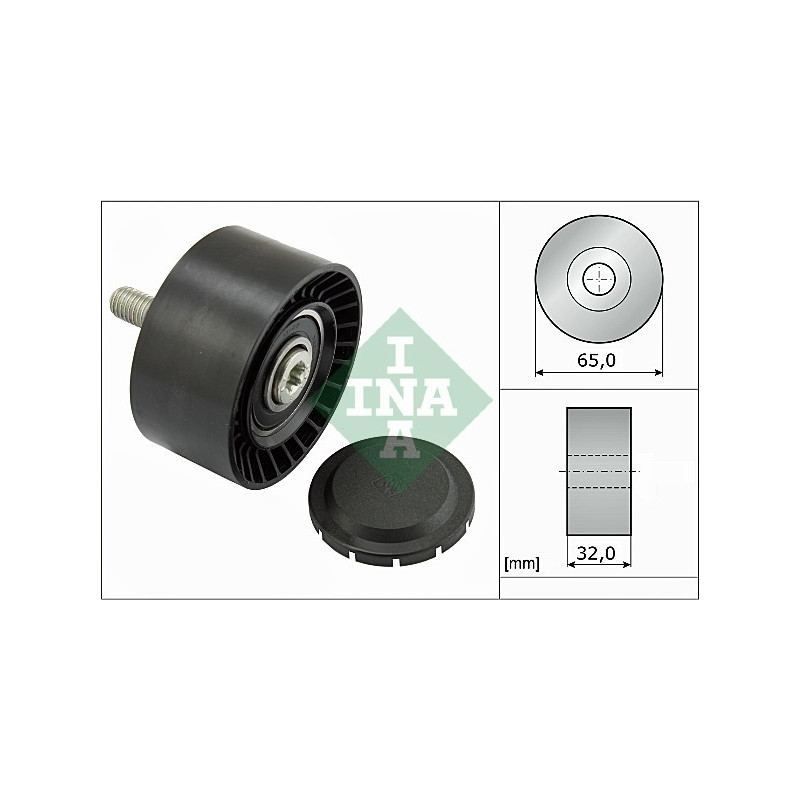 Tendicinghia trapezoidale - INA