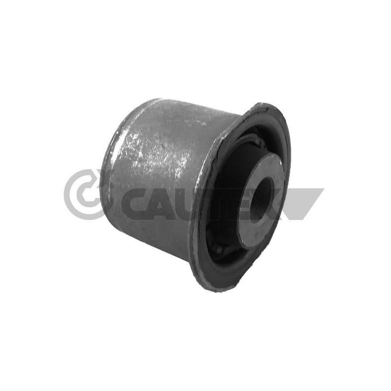 Braccio oscillante asse anteriore - CAUTEX GOMMA E PARTI MOTORE