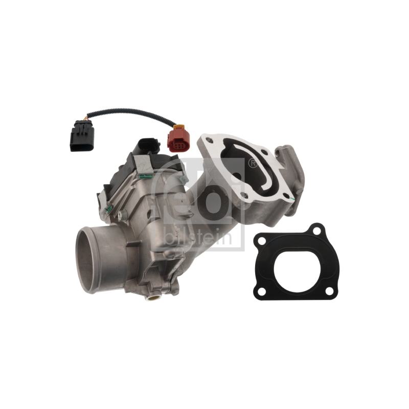 Corpo farfallato - FEBI