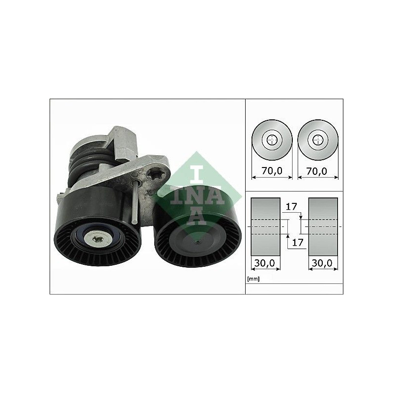 Tendicinghia trapezoidale - INA