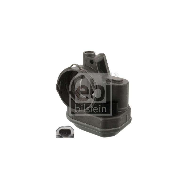 Corpo farfallato - FEBI