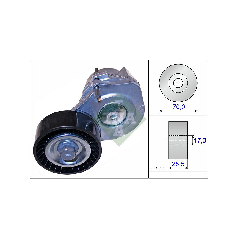 Tendicinghia trapezoidale - INA
