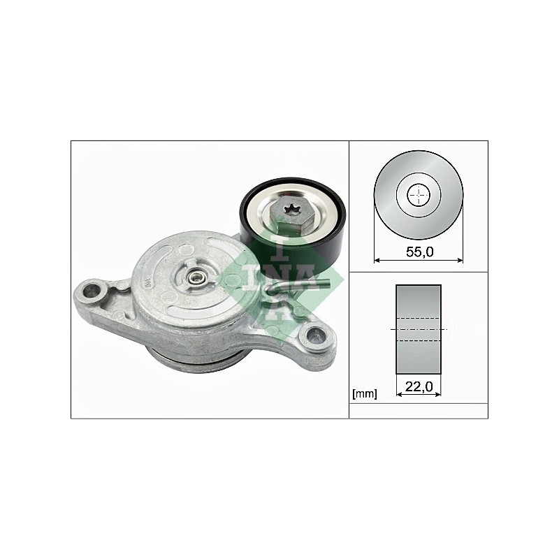 Tendicinghia trapezoidale - INA