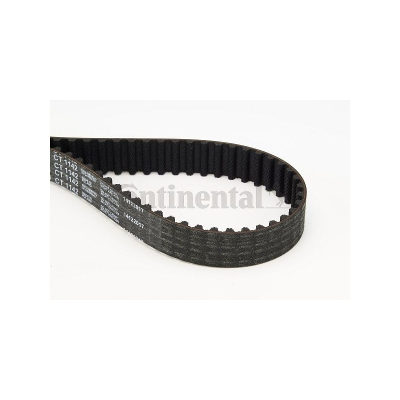 Cinghia/catena distribuzione - CONTITECH