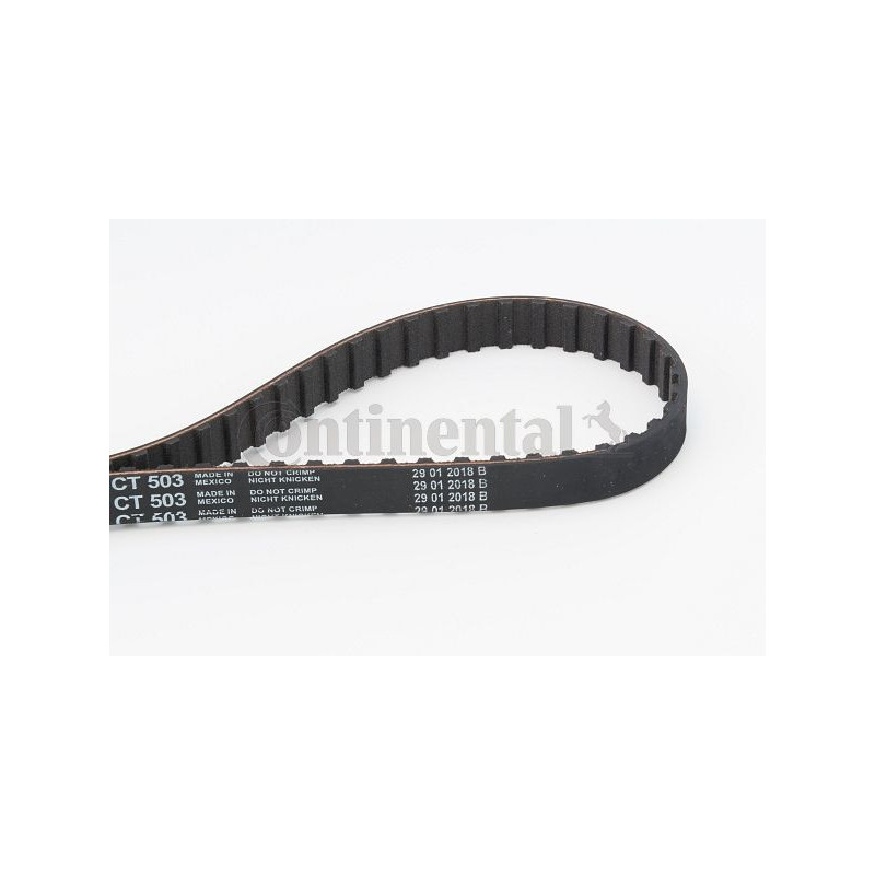Cinghia/catena distribuzione - CONTITECH