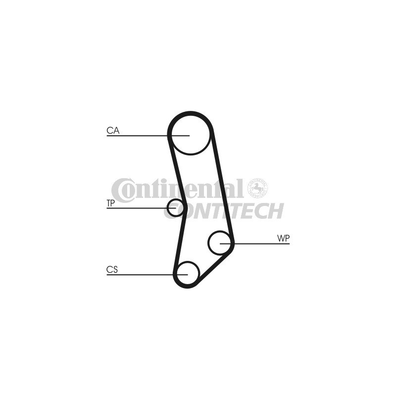Cinghia/catena distribuzione - CONTITECH