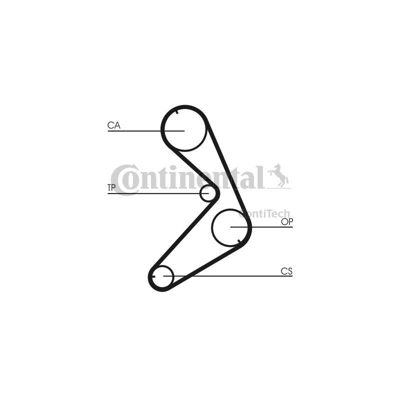 Cinghia/catena distribuzione - CONTITECH