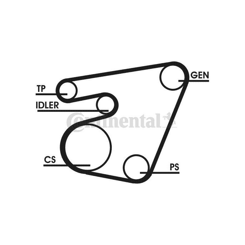Puleggia albero motore - CONTITECH