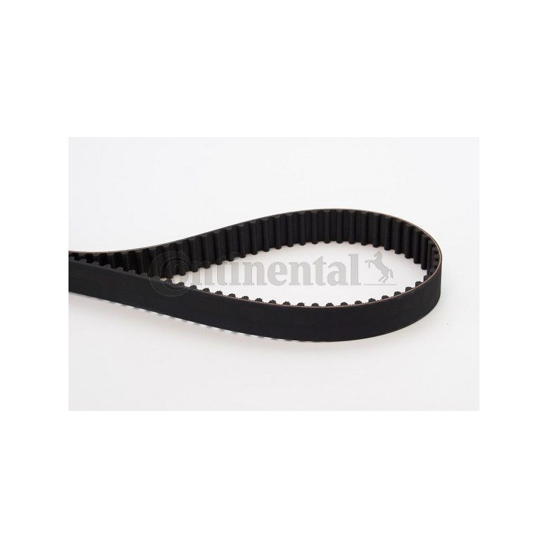 Cinghia/catena distribuzione - CONTITECH