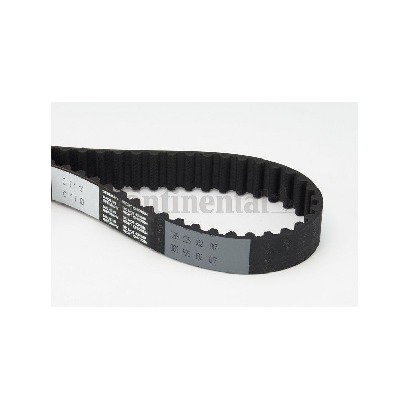 Cinghia/catena distribuzione - CONTITECH