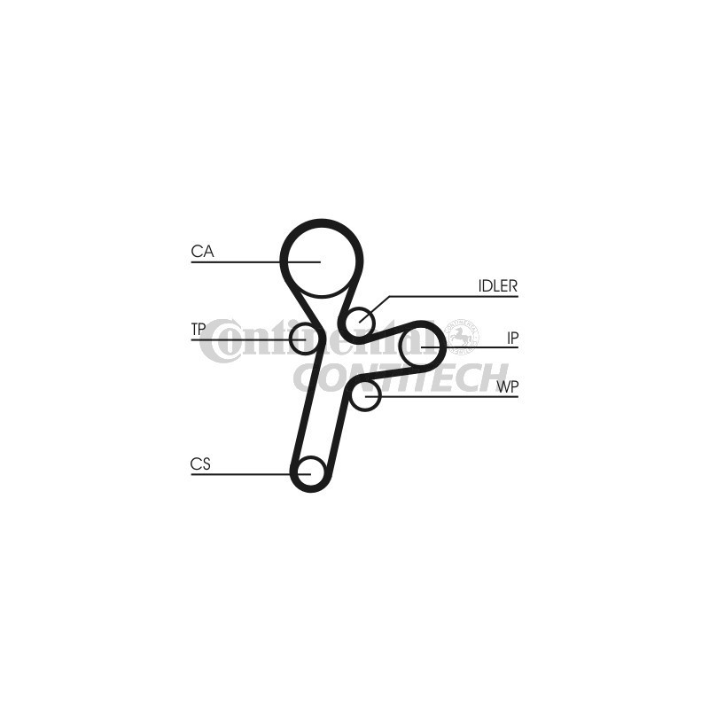 Cinghia/catena distribuzione - CONTITECH