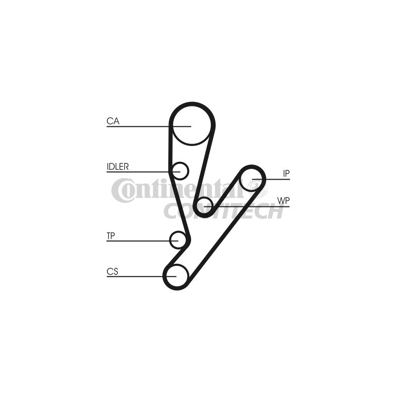 Cinghia/catena distribuzione - CONTITECH