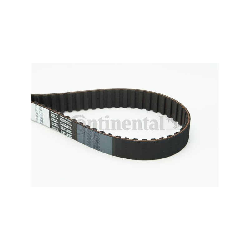 Cinghia/catena distribuzione - CONTITECH