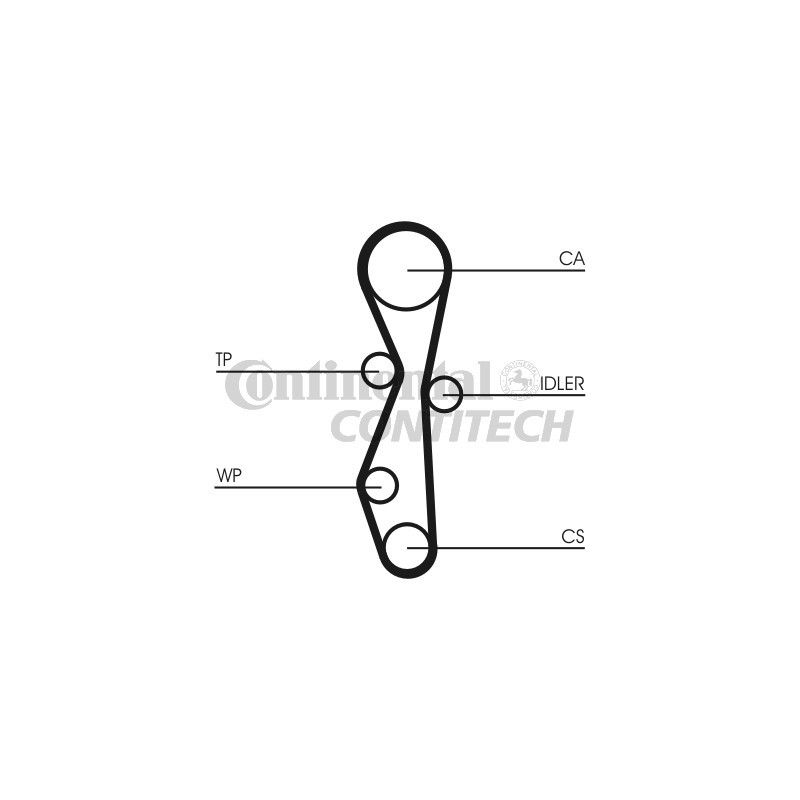 Cinghia/catena distribuzione - CONTITECH