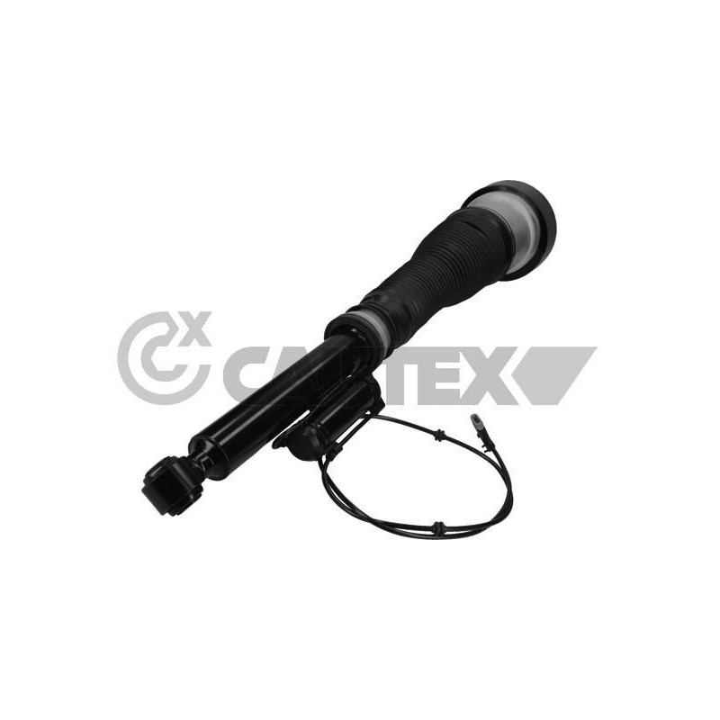 Ammortizzatore asse posteriore - CAUTEX GOMMA E PARTI MOTORE