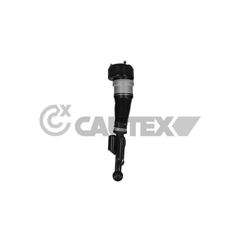 Ammortizzatore asse anteriore - CAUTEX GOMMA E PARTI MOTORE
